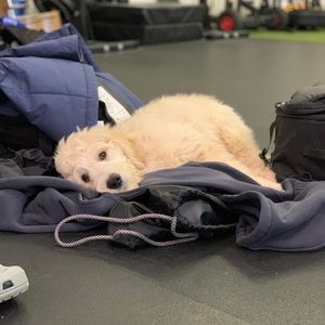 Meet your Posher, Chris